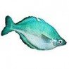 MELANOTAENIA AFF. LACUSTRIS