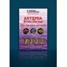 OCEAN NUTRITION ARTEMIA CON SPIRULINA Y AJO 100 GRN